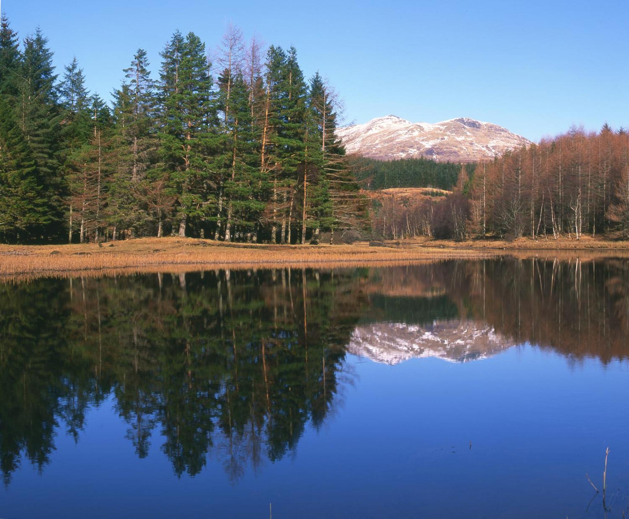 Best Western The Crianlarich Hotel Екстериор снимка